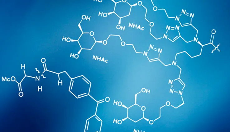 Diagram representing a chemical function for peptides.